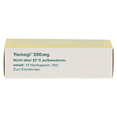 Yomogi 250mg 5 Billionen Zellen 10 Stück N1 - Oberseite