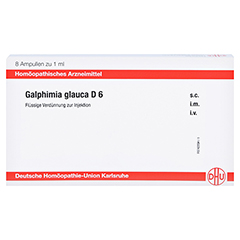 GALPHIMIA GLAUCA D 6 Ampullen 8x1 Milliliter N1 - Vorderseite