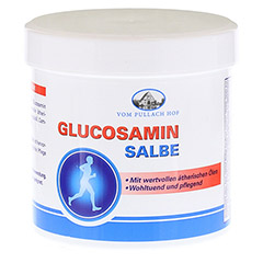 GLUCOSAMIN SALBE 250 Milliliter