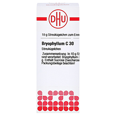 BRYOPHYLLUM C 30 Globuli 10 Gramm N1 - Vorderseite