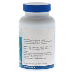 PERNA CANALICULUS 350 mg Kapseln 180 Stck - Rechte Seite