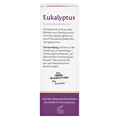 Taoasis Eukalyptus Öl Arzneimittel 10 Milliliter - Rechte Seite