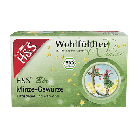 H&S Wintertee Bio Minze-Gewrze Filterbeutel 20x2.0 Gramm