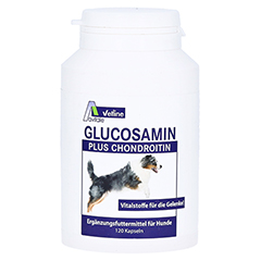 Avitale Glucosamin + Chondroitin für Hunde 120 Stück