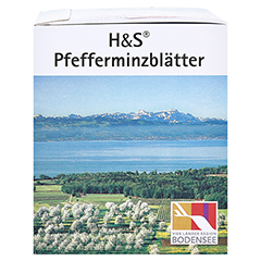 H&S Pfefferminzbltter 20x1.5 Gramm - Rechte Seite