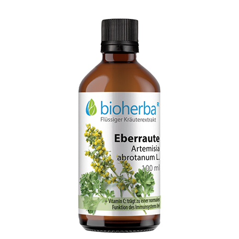 EBERRAUTE Artemisia abrotanum Tinktur 100 Milliliter