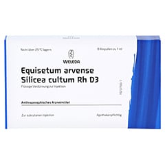 EQUISETUM ARVENSE Silicea cultum D 3 Ampullen 8 Stck N1 - Vorderseite