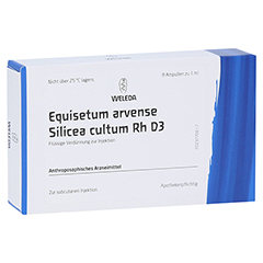 EQUISETUM ARVENSE Silicea cultum D 3 Ampullen