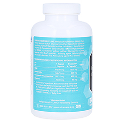 GLUCOSAMIN CHONDROITIN MSM Vitamin C Kapseln 240 Stck - Rechte Seite