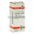 COLOCYNTHIS LM III Dilution 10 Milliliter N1