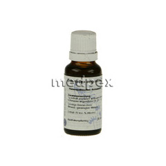 ECHINACEA D 3 Dilution 20 Milliliter N1