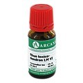 RHUS TOXICODENDRON LM 6 Dilution 10 Milliliter N1