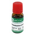 RHODODENDRON LM 6 Dilution 10 Milliliter N1