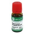 RHUS TOXICODENDRON LM 12 Dilution 10 Milliliter N1