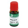 SILICEA LM 6 Dilution 10 Milliliter N1