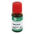 SEPIA LM 6 Dilution 10 Milliliter N1