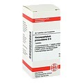 HARPAGOPHYTUM PROCUMBENS D 6 Tabletten 80 Stück N1