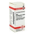 RHUS TOXICODENDRON LM XVIII Dilution 10 Milliliter N1