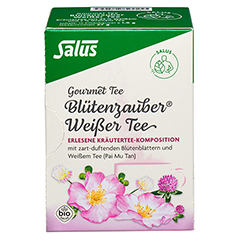 WEISSER TEE Bltenzauber Bio Salus Filterbeutel