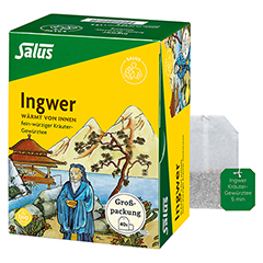 INGWER KRUTER-GEWRZTEE-Mischung Bio Salus Fbtl.