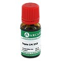 SEPIA LM 30 Dilution 10 Milliliter N1
