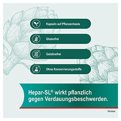 HEPAR-SL 320 mg Hartkapseln 50 Stck - Info 2