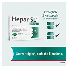 HEPAR-SL 320 mg Hartkapseln 50 Stck - Info 4