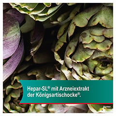 HEPAR-SL 320 mg Hartkapseln 50 Stck - Info 5