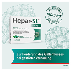 HEPAR-SL 320 mg Hartkapseln 100 Stck - Info 8