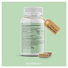 BIOTANICALS Vitamin C Kapseln 120 Stck - Info 2