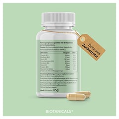 BIOTANICALS Vitamin B Kapseln 90 Stck - Info 2