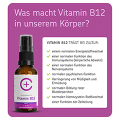 CERASCREEN Vitamin B12 hochdosiert vegan Spray 30 Milliliter - Info 2