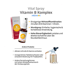 VITAMIN B KOMPLEX Mediakos Vital Spray vegan 50 Milliliter - Info 3