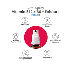 VITAMIN B12+B6+Folsure Mediakos Vital Spray 20 Milliliter - Info 4