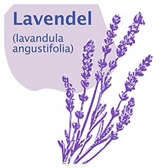 IEA Medical wrmende Augenmaske Lavendel 5 Stck - Info 6
