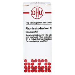 RHUS TOXICODENDRON C 12 Globuli 10 Gramm N1 - Vorderseite