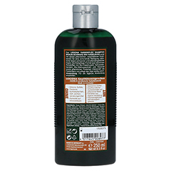 LOGONA Farbreflex Shampoo Braun-Schwarz Bio-Haselnuss 250 Milliliter - Rckseite