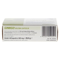 GINKGO 100 mg Kapseln+B1+C+E 48 Stück - Unterseite