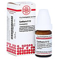 CANTHARIS D 12 Globuli 10 Gramm N1