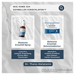 DR.THEISS Melatonin Einschlaf-Spray NEM 30 Milliliter - Info 3