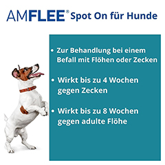 AMFLEE 268 mg Spot-on Lsg.f.groe Hunde 20-40kg 3 Stck - Info 1