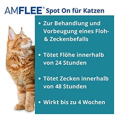 AMFLEE 50 mg Spot-on Lösung z.Auftropfen f.Katzen 3 Stück - Info 1