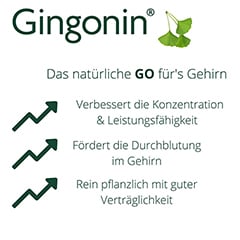 Gingonin 120mg 30 Stck N1 - Info 1