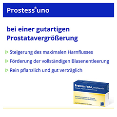 Prostess Uno 50 Stück N1 - Info 1