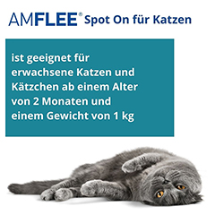 AMFLEE 50 mg Spot-on Lösung z.Auftropfen f.Katzen 3 Stück - Info 2