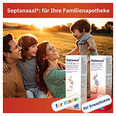 SEPTANASAL 1 mg/ml + 50 mg/ml Nasenspray 10 Milliliter N1 - Info 4