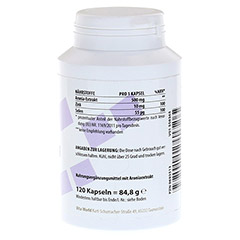 ARONIA EXTRAKT 500 mg Kapseln 120 Stück - Linke Seite