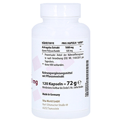 ASTRAGALUS EXTRAKT 500 mg Kapseln 120 Stck - Linke Seite