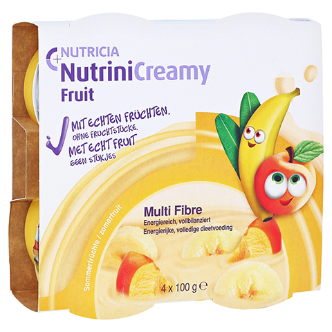 NUTRINI Creamy Fruit Sommerfrchte 4x100 Gramm
