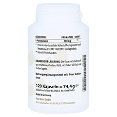 PHENYLALANIN 500 mg Kapseln 120 Stck - Linke Seite